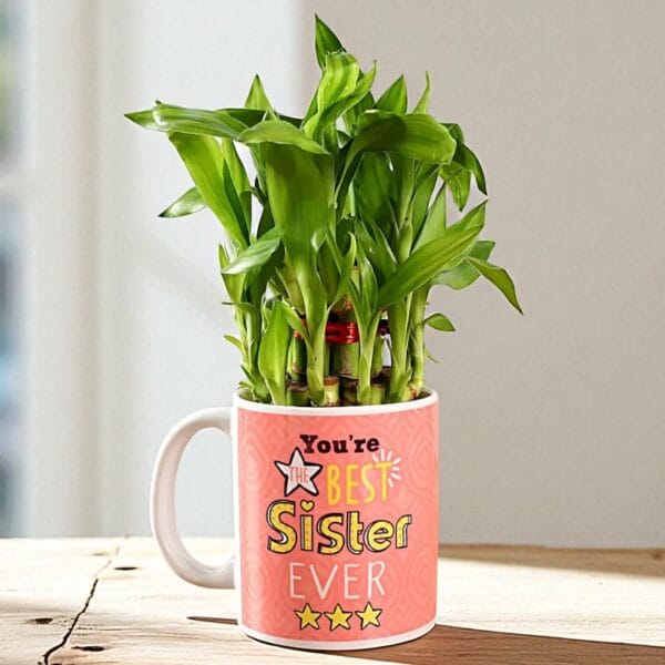POPZOY Lucky Bamboo in Mug – Two Layer Plant in Best Sister Personalized Pot