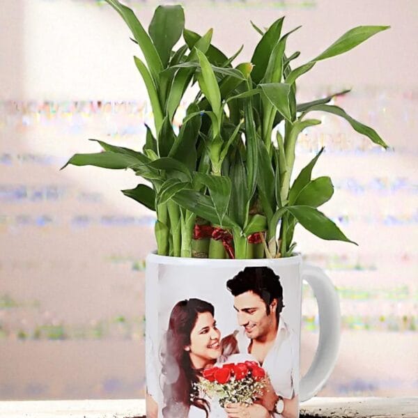 POPZOY Lucky Bamboo – Personalized Indoor Plant in White Mug