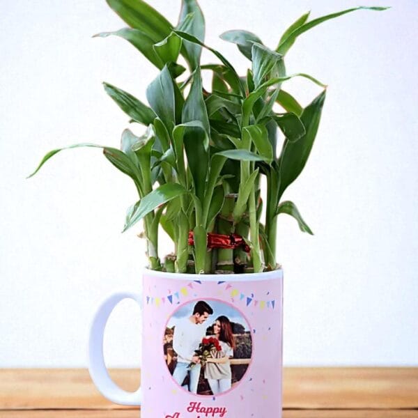 POPZOY Anniversary Gift – Personalized Lucky Bamboo Indoor Plant