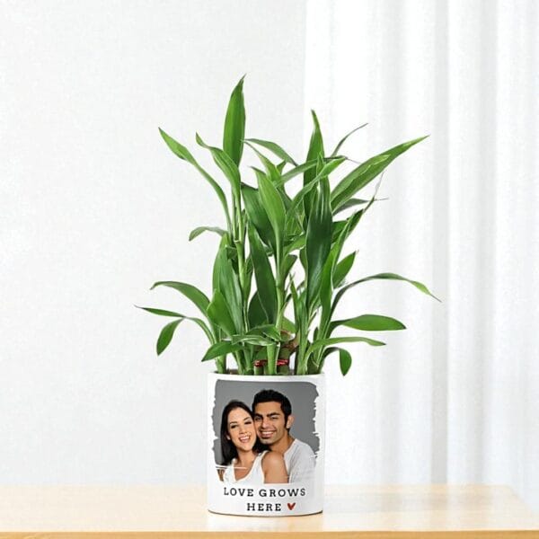 POPZOY Personalized Bamboo Bliss – Lucky Indoor Plant in Custom Mug